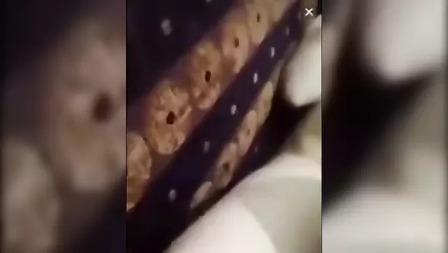 Kamerada çıplak Türk kadınla ev yapımı amatör seks